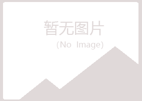 南川山柳工程有限公司